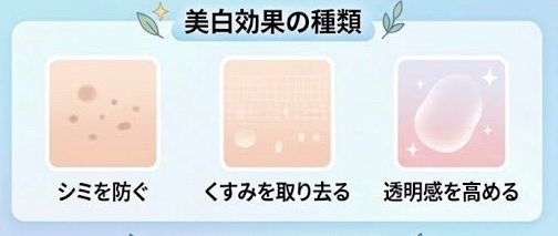 美白効果の種類の解説イラスト