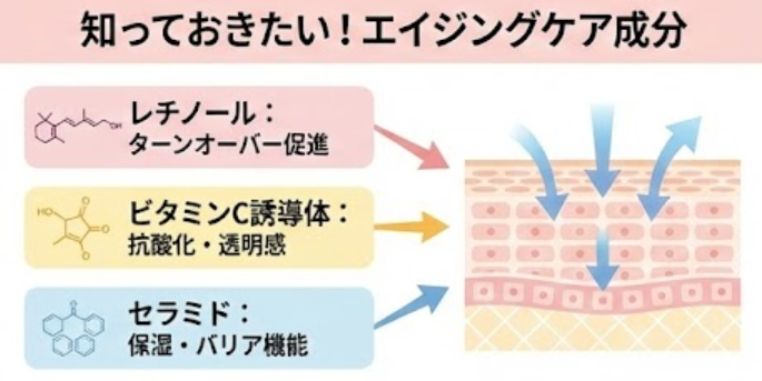 エイジングケア成分のイメージ