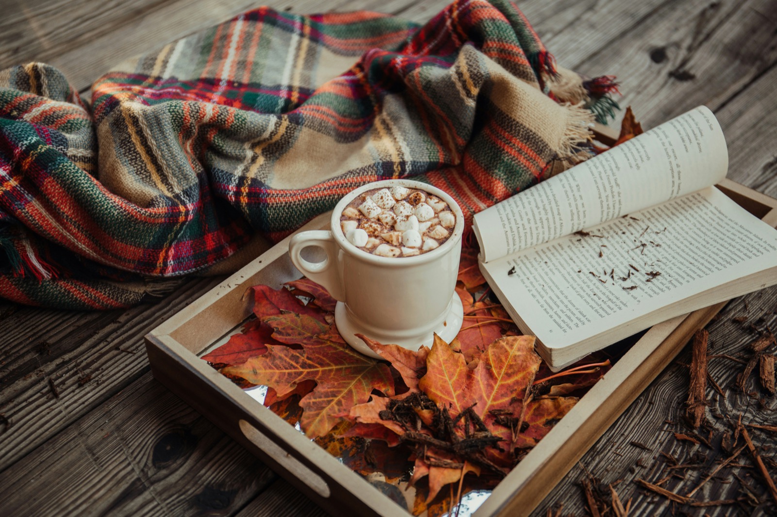 紅葉した落ち葉とブランケット、温かい飲み物