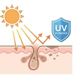 フェイスパウダーの役割イメージ